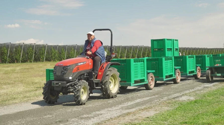 Трактор Solis-Gold | Солис-Голд 26 Mit 4x4 6+2B STD agri 6.00-12 / 8.3-20 (с ПСМ)